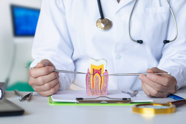 Best Emergency Treatment for Toothache in Basin, WY
